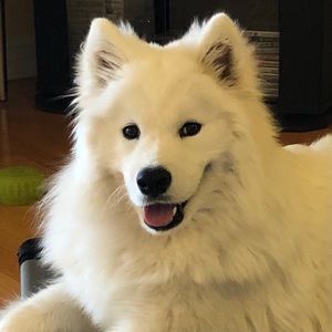 Meet your Posher, Anna